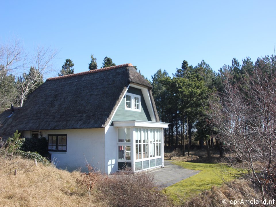 Klik hier voor meer informatie over Vakantiehuis Waddenvogel